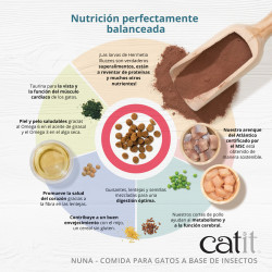Pienso para Gatos con Proteína de Insectos y Arenques | 92% Sostenible y Fácil de Digerir