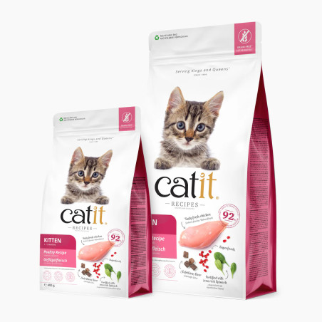 Pienso Recipes Kitten para Gatitos | 92% Proteína Animal y Sin Cereales