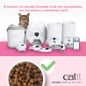 Pienso Recipes Kitten para Gatitos | 92% Proteína Animal y Sin Cereales