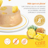 Snack para gatos en Mousse con fruta Catit Creamy Cups