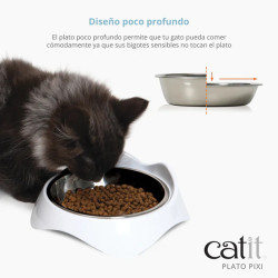 Platos Catit PIXI para Gatos | Comederos Ergonómicos y Antifatiga de Bigotes